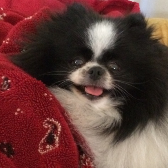 Meet your Posher, Michelle - Picture 4 of 13